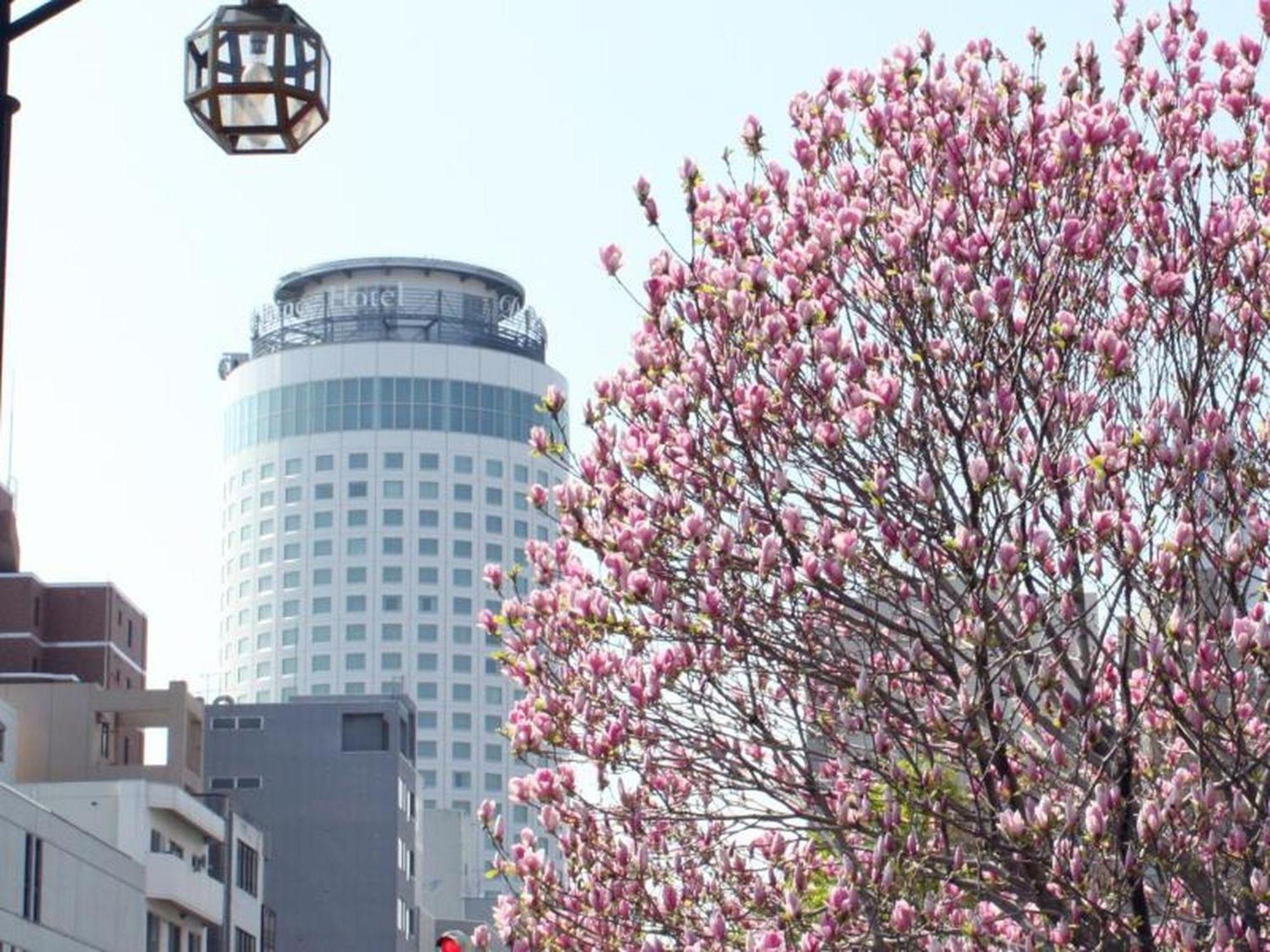 Sapporo Prince Hotel Exteriér fotografie
